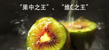 红心猕猴桃合作社 现摘现发，开启新鲜水果批发零售新体验